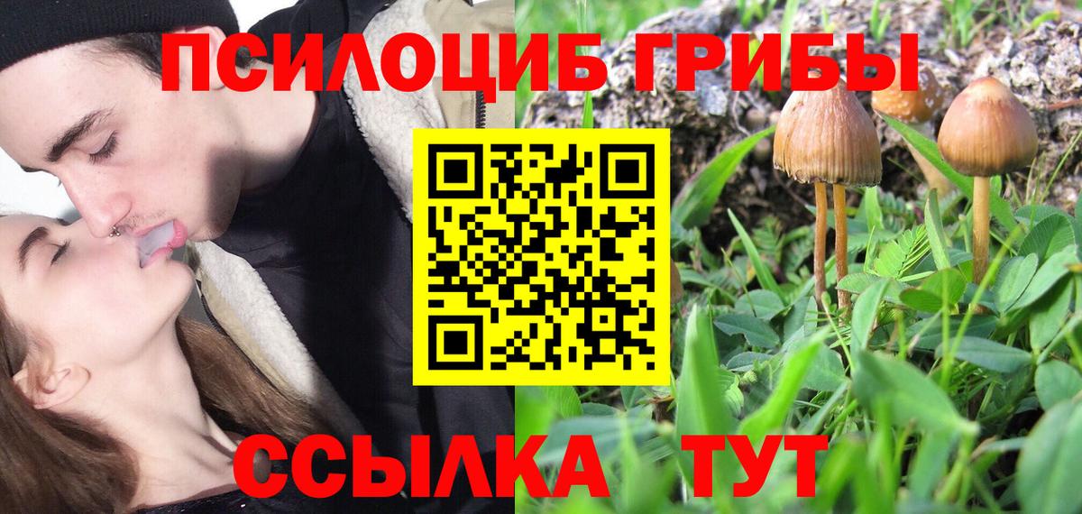 Рыбинск  Галлюциногенные грибы Magic Shrooms  Псилоцибиновые грибы мицелий  хочу   Вход с VPN 