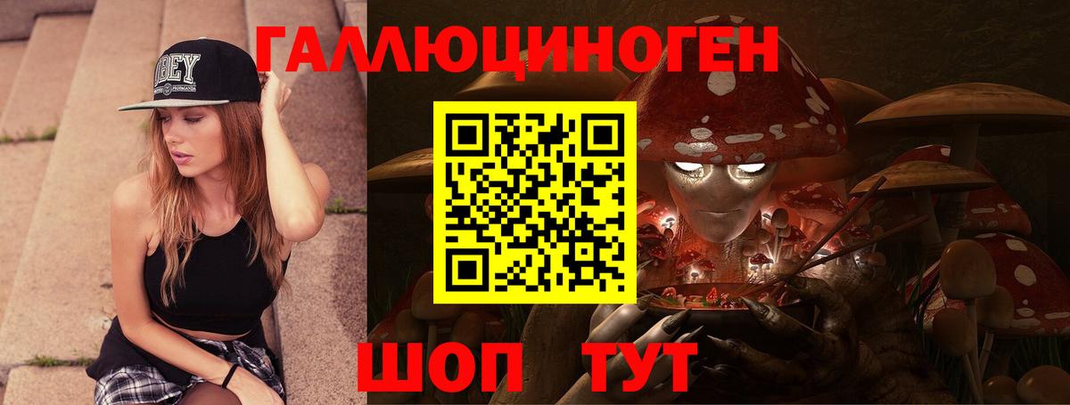 Псилоцибиновые грибы GOLDEN TEACHER Рыбинск